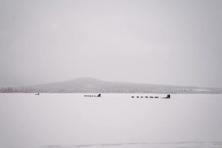 Huskies running across a frozen lake during winter in Rovaniemi