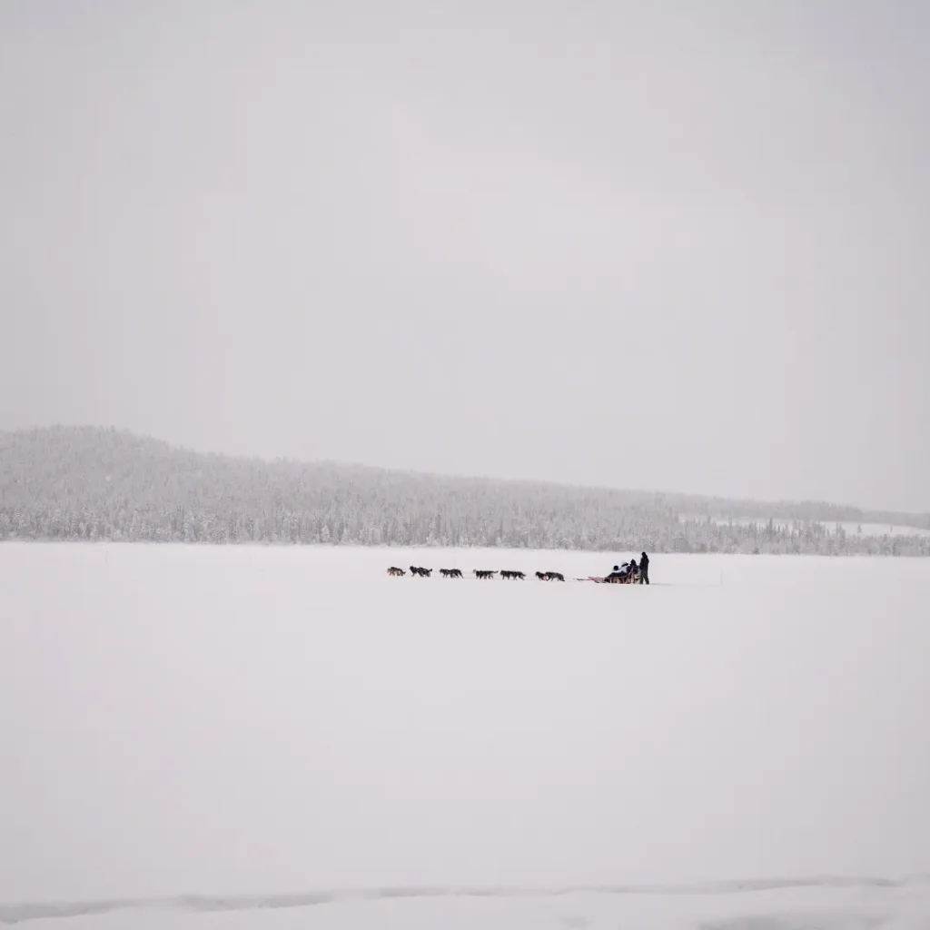 Scenic husky safari by a frozen lake in Rovaniemi, Finland