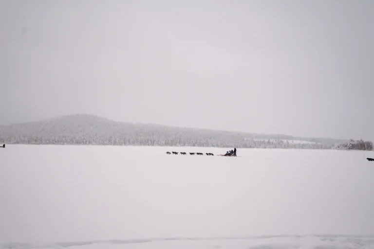Scenic husky safari by a frozen lake in Rovaniemi, Finland