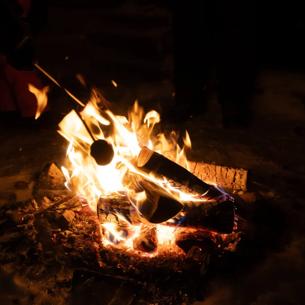 Sausage grilling over open fire on a barbecue, flames visible, outdoor cooking