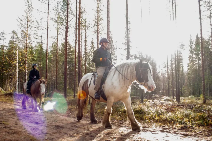 Riders surrounded by colorful autumn trees in Lapland